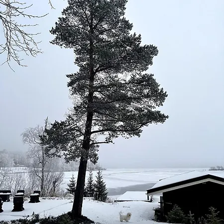 With High Standard By The Pasvik River Kirkenes